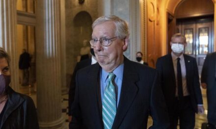 Sen. McConnell freezes during press conference, raises concerns