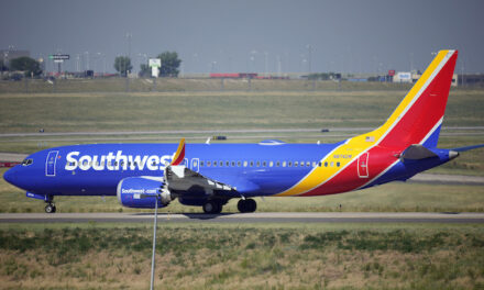 Woman arrested for punching Southwest Airlines worker