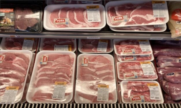 Ranchers decry beef imports from Argentina, expert says good start
