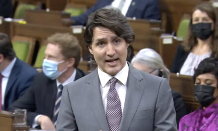 Trudeau accuses Jewish MP of supporting swastikas