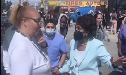 Democrat Maxine Waters threatens reporter, tells homeless to ‘go home’