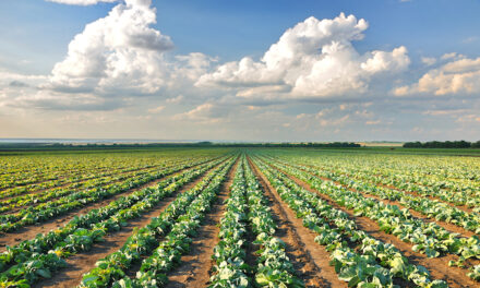 USDA set to give $2.2 billion to minority farmers by end of 2023