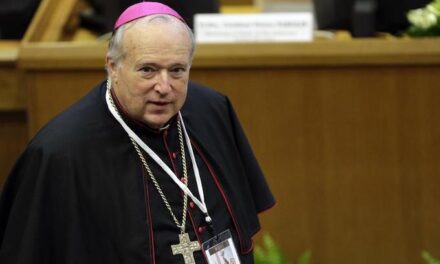 Pope Francis picks leftist US bishop to be a cardinal