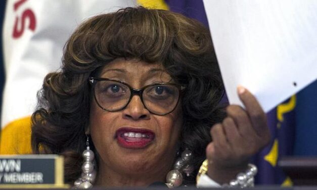 Democrat: Former US Rep. Corrine Brown pleads guilty in fraud case