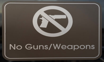 Denver bans concealed weapons in city buildings, parks