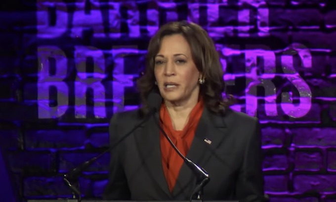 Kamala Harris: Overturning Roe vs. Wade is a ‘direct assault’ on freedom; ‘How Dare They?’