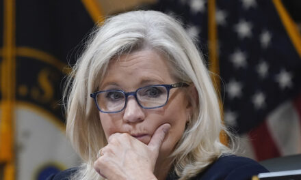 Liz Cheney and the Left