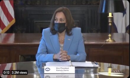 Kamala Harris Begins Meeting By Announcing Her Pronouns And Gender