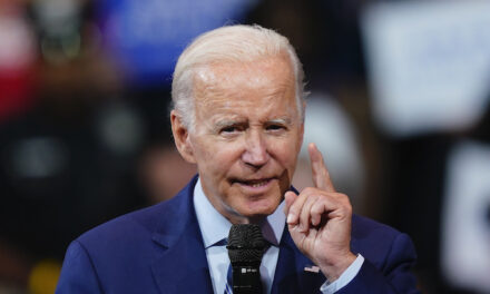 Biden Warns ‘Brave Right-Wing’ Americans — ‘If You Want to Fight Against the Country, You Need an F-15’