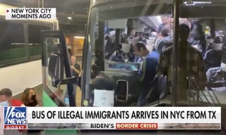 First Texas bus of 50 mostly male illegals arrives in NYC