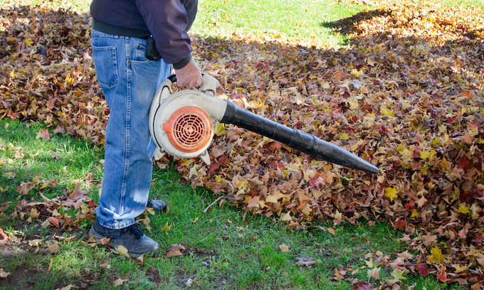 Seattle City Council moves toward outlawing gas-powered leaf blowers