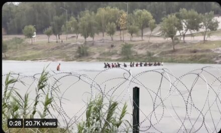 Four more Texas counties declare invasion at southern border, bringing total to 22