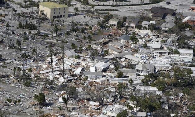 Never Let a Devastating Natural Disaster Go To Waste