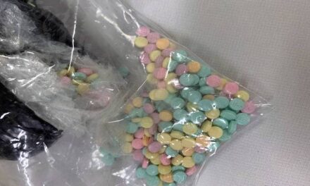 NYC: Candy-colored drugs seized in Lego box