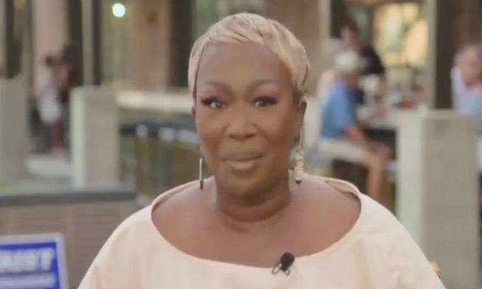 Joy Reid Claims Voters Didn’t Know the Word ‘Inflation’ Until Republicans ‘Taught’ It to Them