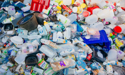 Greenpeace Admits Plastic Recycling Does Not Work, Harms Environment