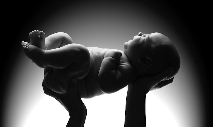 Republican senators introduce Born Alive Abortion Survivors Protection Act