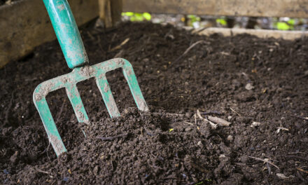 New York OKs human composting law; 6th state in US to do so