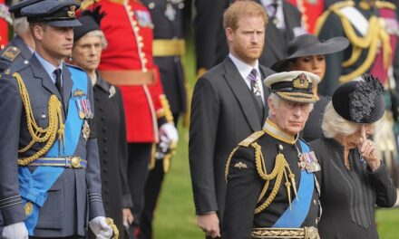 Prince Harry says he wants his father and brother back