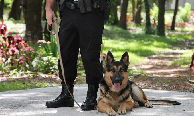California to Consider Banning ‘Racist’ Police K9s for Arrests, Crowd Control