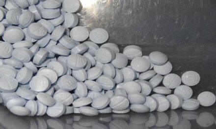 Three Mexicans charged, 1 million fentanyl pills seized outside LA