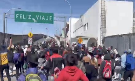 Hundreds of Illegals Attempt to Storm Border at Texan Port of Entry