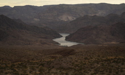 Biden admin floats options to reduce water pulled from Colorado River