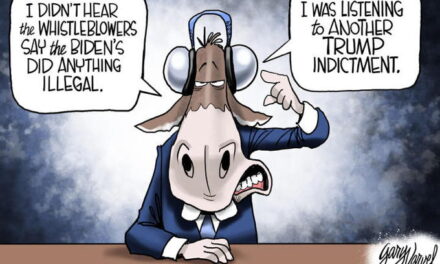 Biden Testimony