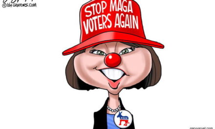 Democrat Clown Show