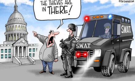 Swatting Congress