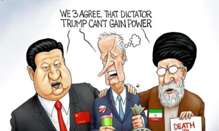 Can’t have a dictator?