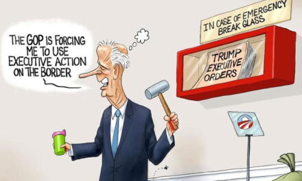 Border Solution