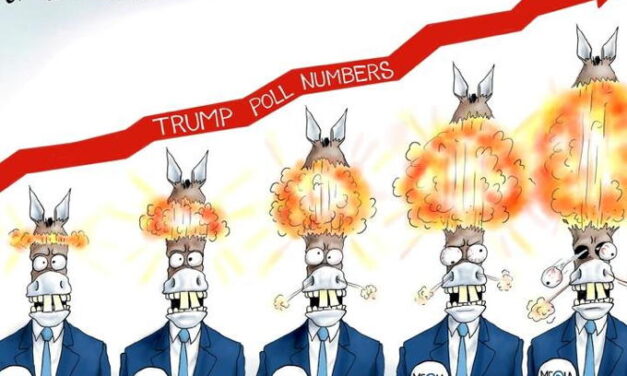 Trump Poll Numbers