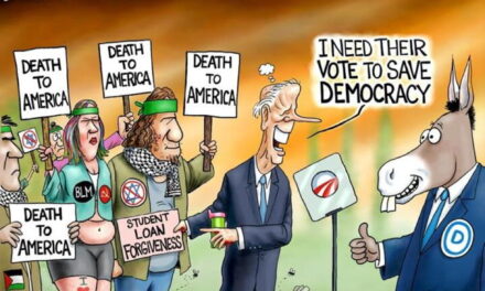 Biden Voters