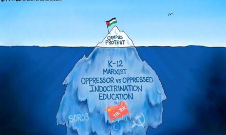 Leftwing Iceberg