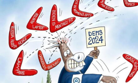 Dem Boomerangs