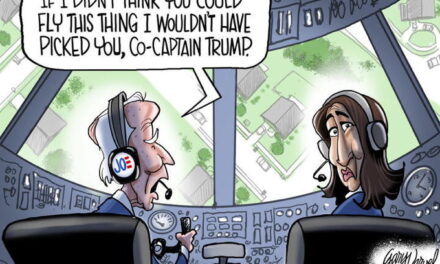 Safe to Fly?