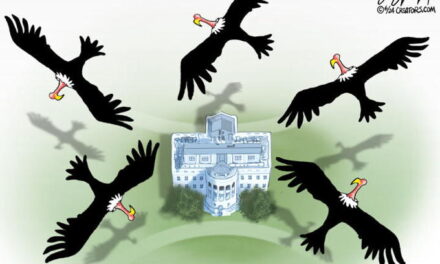 Vultures are Circling