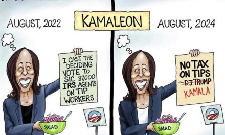 Kamala’s Plan?