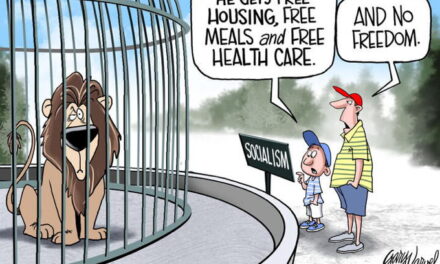 Socialism Defined