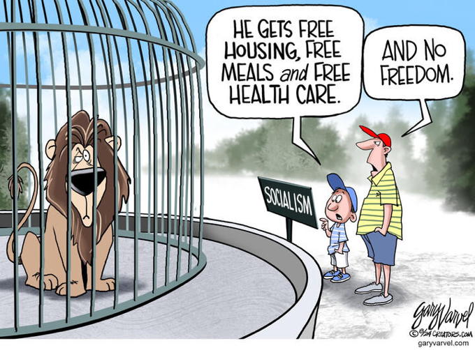 Socialism Defined