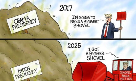 A Bigger Shovel