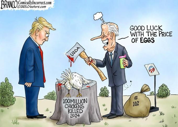 Egg Prices