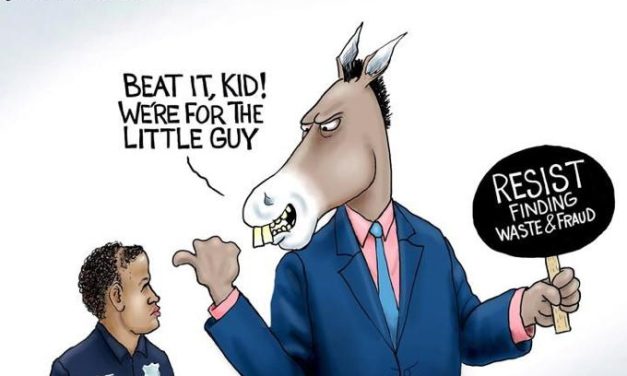 Fighting for the Little Guy?