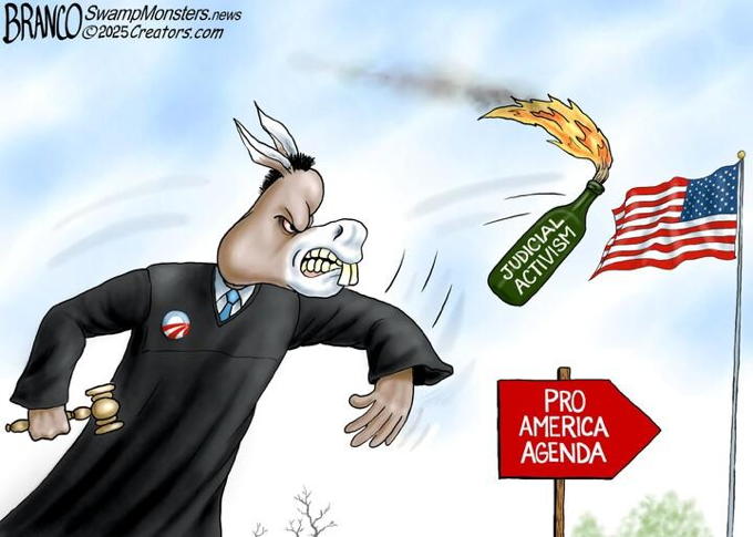 Judicial Activism