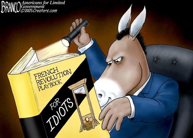 Democrat Playbook