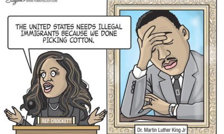 Picking Cotton