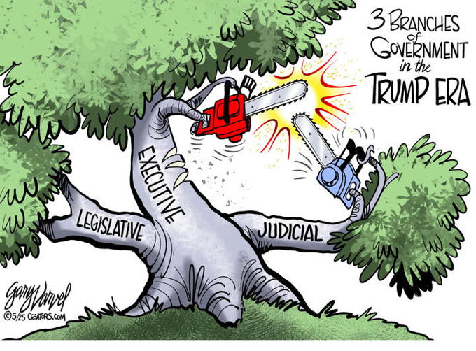 Three Branches