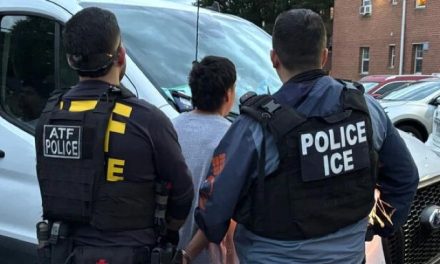 Dozens of Americans arrested for attempting to kill, threatening ICE agents