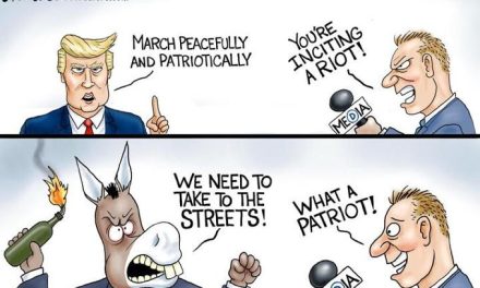 Media Bias